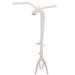 Arteries of the Neck, Torso, and Abdomen