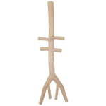 Inferior Vena Cava