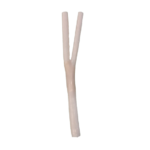 Carotid Artery